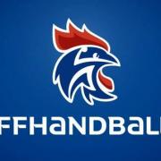 Logo ffhb 2016